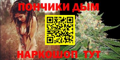 крисы Кандалакша