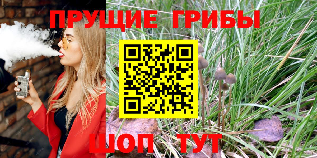 Галлюциногенные грибы мухоморы  Псилоцибиновые грибы Cubensis  где продают   Красный Сулин  Вход с VPN 